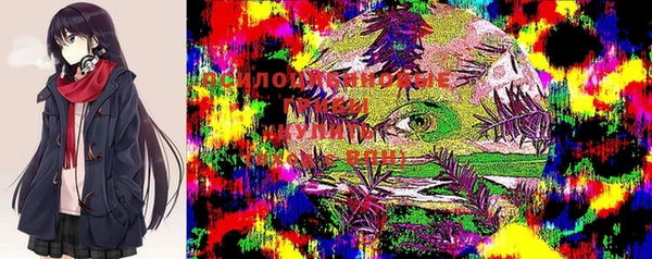 крисы Балабаново