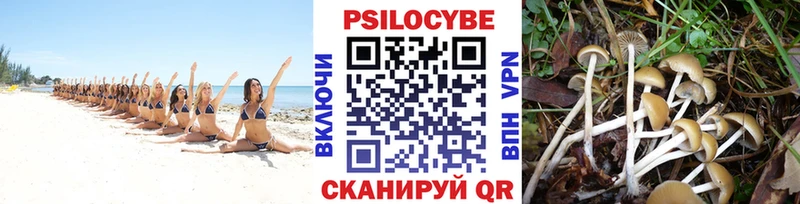 Псилоцибиновые грибы мухоморы  где найти   Куйбышев 